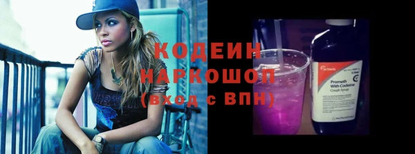 дживик Бородино