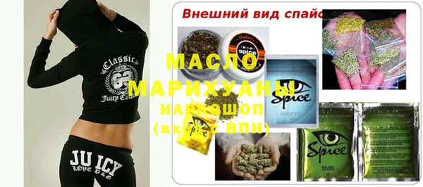 дживик Бородино
