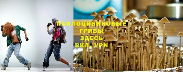 дживик Бородино